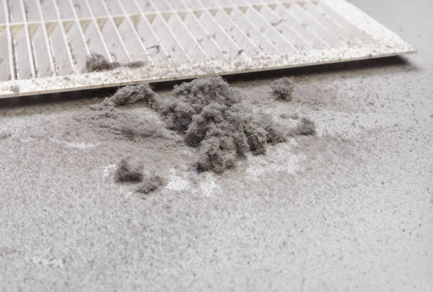 Best Ductwork Cleaning Services  in Woodfield, SC