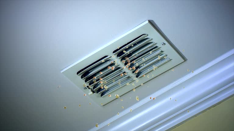 Best Air Duct Cleaning Near Me  in Woodfield, SC